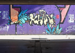 Od rožic do kritičnih napisov: na teh lokacijah v prestolnici vam je na zidove dovoljeno izraziti vse