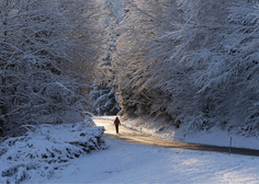 Mnoge prebivalce v Sloveniji je presenetil sneg: ponekod le za vzorec, v nekaterih delih do 30 centimetrov