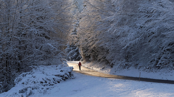 Mnoge prebivalce v Sloveniji je presenetil sneg: ponekod le za vzorec, v nekaterih delih do 30 centimetrov (foto: BOBO)