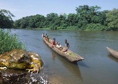 Šokiralo vas bo, kako velika je največja žaba na svetu!