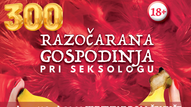 300. ponovitev hiperseksualne duokomedije v Ljubljani! (foto: promocijska fotografija)