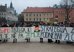 Množica mladih na podnebnem shodu: "Zahtevamo spremembe na vseh področjih delovanja družbe" (FOTO)