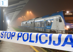 Drzna tatvina na železniški postaji: ste ga videli?