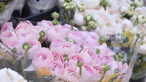 Imate radi rezano cvetje in šopke? Potem je treba vedeti, kako podaljšati svežino rož: ti triki so preprosti, a učinkoviti