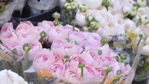 Imate radi rezano cvetje in šopke? Potem je treba vedeti, kako podaljšati svežino rož: ti triki so preprosti, a učinkoviti