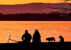 Znani Slovenec za sabo pustil vse svoje premoženje in se preselil v kombi