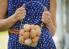 Cena jajc v zadnjem letu močno narasla: ponekod dražje tudi za 80 odstotkov