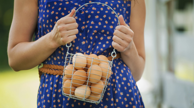 Cena jajc v zadnjem letu močno narasla: ponekod dražje tudi za 80 odstotkov (foto: Profimedia)
