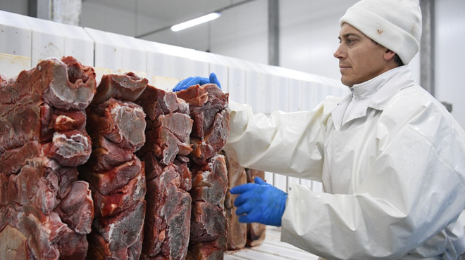 Šokantni posnetki iz prehranske industrije: se bomo mesa res "nažrli do smrti"? (foto: Profimedia)