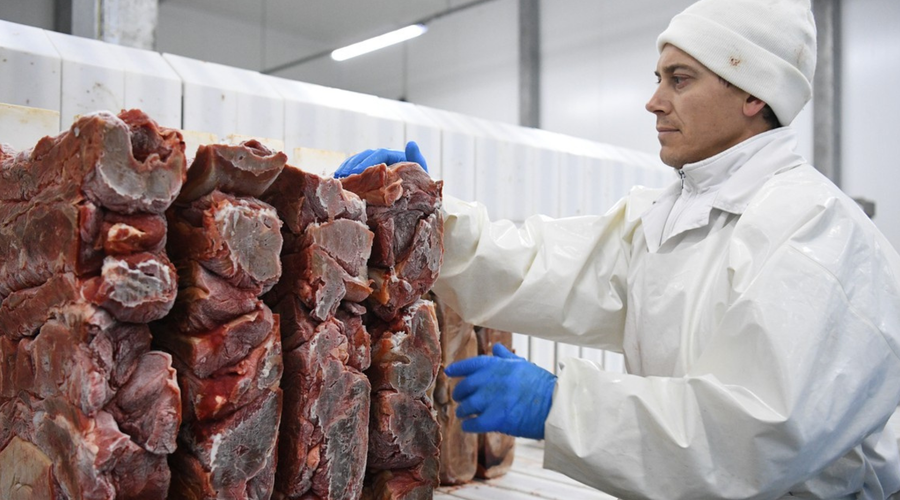 Šokantni posnetki iz prehranske industrije: se bomo mesa res "nažrli do smrti"? (foto: Profimedia)