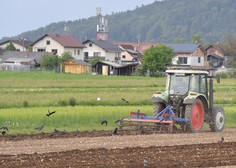 Ne samo stanovanja, tudi kmetijska zemljišča v Sloveniji se prodajajo po vrtoglavi ceni