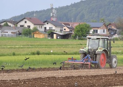 Ne samo stanovanja, tudi kmetijska zemljišča v Sloveniji se prodajajo po vrtoglavi ceni