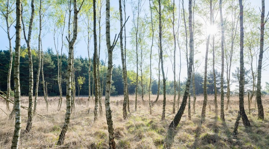 Kakšno vreme nas čaka ta konec tedna? (foto: Profimedia)