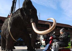 (FOTO) Mnogi se čudijo: zakaj je sredi Kamnika ogromen mamut?