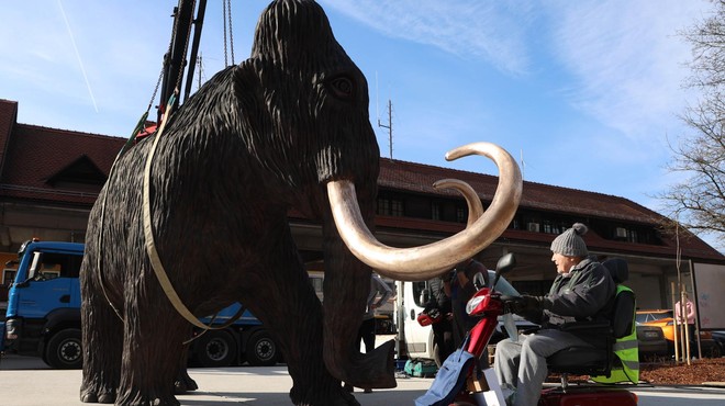 (FOTO) Mnogi se čudijo: zakaj je sredi Kamnika ogromen mamut? (foto: Borut Živulovič/Bobo)