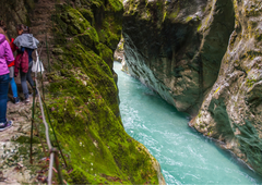 Lani si jo je ogledalo več kot 100.000 ljudi, zdaj pa ... Priljubljena turistična atrakcija ne bo več prosto dostopna