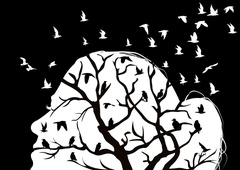 Kako prenehati stvari jemati preveč OSEBNO (o znakih, vzrokih in rešitvah)