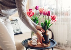 Pomlad je tu: imamo nekaj predlogov, kako jo lahko vnesete v svoj dom