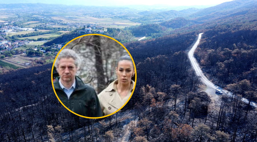 FOTO: Tina Gaber v dragem plašču sadila drevesca z Robertom Golobom? (foto: Boštjan Podlogar/STA/Bobo/fotomontaža)