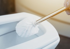 Strokovnjak razkriva, kako pogosto menjati ščetko za straniščno školjko (zgroženi boste)