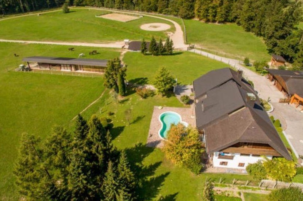 FOTO: Vplivni Slovenec za vilo streljaj od Ljubljane odštel osupljive štiri milijone evrov! (idila z bazenom in konjušnico) (foto: Nepremicnine.net)