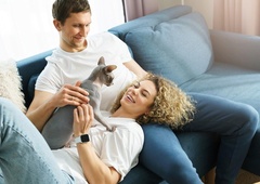 5 razlogov, zakaj so mačke tako blagodejne za vaše psihično zdravje