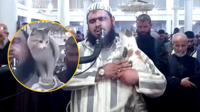 VIDEO: Poglejte, kako si je nagajiva mačka med molitvijo privoščila imama (foto: Facebook/Shahbaz Alauddin/fotomontaža)