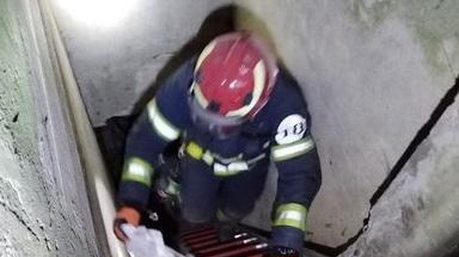 Posredovanje štajerskih gasilcev razkrilo, kakšnega grozodejstva je sposoben človek (foto: PDG Sela/Facebook)