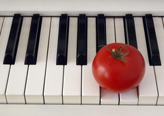 RASTLINE se med seboj zares POGOVARJAJO - in to z ultrasoničnim zvokom