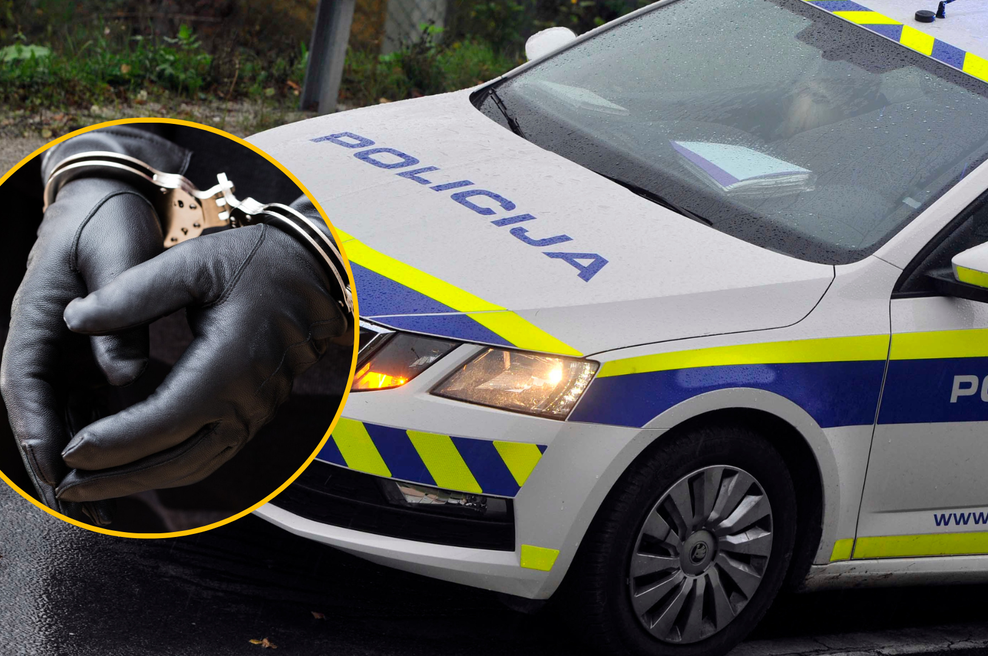 Bodo ruska vohuna, ki so ju prijeli v Sloveniji, res zamenjali z zahodnimi ujetniki v Rusiji? Imamo odgovor (foto: Srdjan Živulovič/Bobo/Profimedia/fotomontaža)