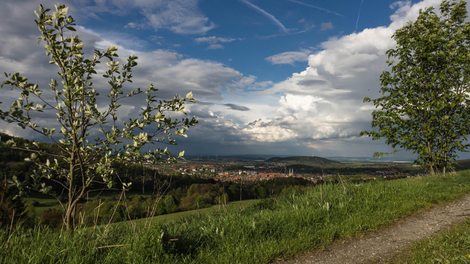Letošnji april hladnejši od dolgoletnega povprečja: bomo nizkim temperaturam priča tudi pred prazniki?