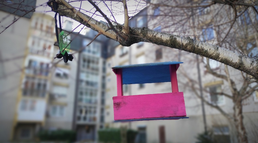 Vlada zaostruje nadzor nad prijavo prebivališč (je zlorabam dokončno odklenkalo?) (foto: Bobo)