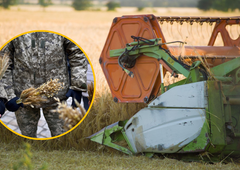 Evropska država prepovedala uvoz ukrajinskega žita: v Ukrajini so se že odzvali