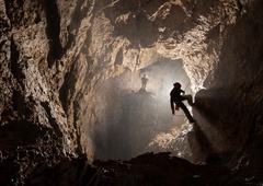 Poškodovane jamarke še niso rešili: vemo, kakšno je njeno zdravstveno stanje