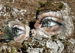 Kako do dih jemajočih umetnin v slovenskih gozdovih, ki so navdušile mnoge? (Vemo, kam je treba)