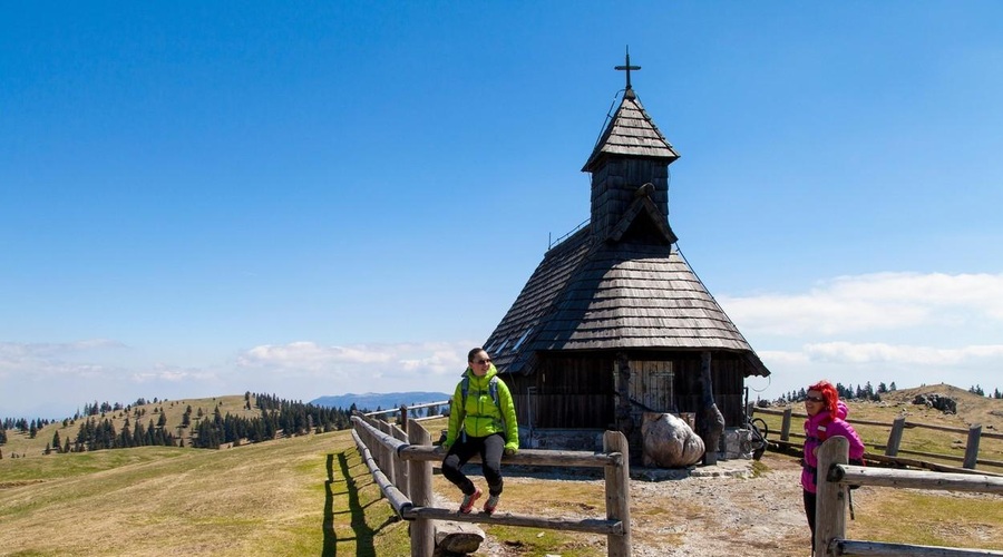 Kaj se je minuli konec tedna dogajalo na Veliki planini: prevelika sproščenost pasjih lastnikov? (foto: Profimedia)