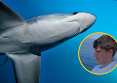 VIDEO: 13-letnik v Tržaškem zalivu ujel trimetrskega morskega psa