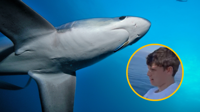 VIDEO: 13-letnik v Tržaškem zalivu ujel trimetrskega morskega psa (foto: Profimedia/YouTube/Friuli Oggi/posnetek zaslona/fotomontaža)