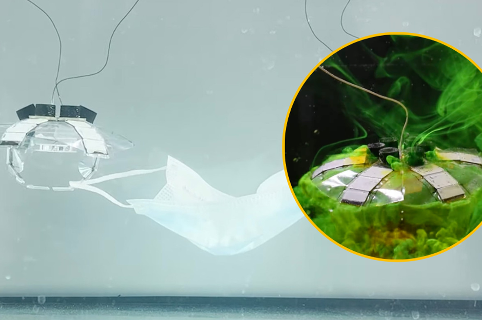 Uganete, kaj je na fotografiji? Gre za neverjetno rešitev, ki bi lahko pripomogla k zaskrbljujočemu stanju oceanov (VIDEO) (foto: Profimedia/fotomontaža)