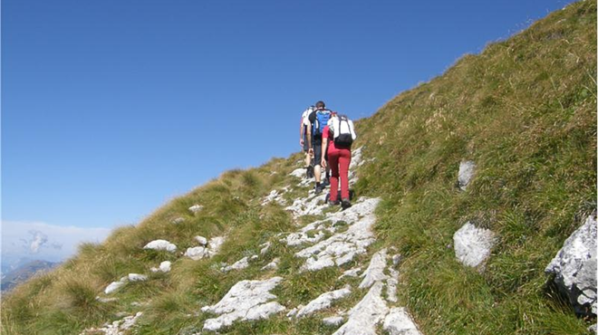 Če se radi vzpnete na ta slovenski hrib ... zdaj boste morali za razgled plačati (foto: Spletna stran/Hribi.net)