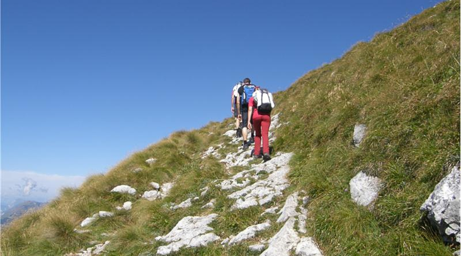 Če se radi vzpnete na ta slovenski hrib ... zdaj boste morali za razgled plačati (foto: Spletna stran/Hribi.net)