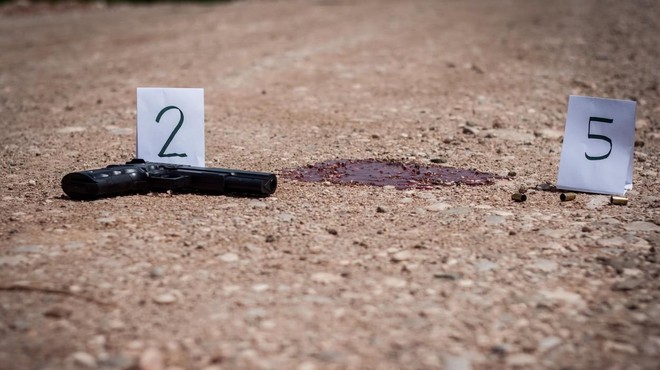 Tragedija zaradi vrtov in golobov: moški zagrabil puško, ubil tri ljudi in sodil še sebi (foto: Profimedia)
