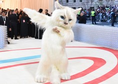 FOTO: Priljubljen pevec in igralec na najbolj prestižni modni dogodek prišel v mačjem kostumu
