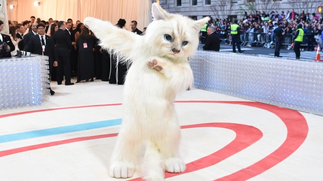 FOTO: Priljubljen pevec in igralec na najbolj prestižni modni dogodek prišel v mačjem kostumu (foto: Profimedia)