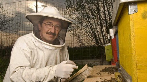 'Napaka' enega kmeta povzročila pogin prek deset milijonov čebel (VIDEO)