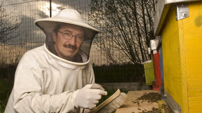 'Napaka' enega kmeta povzročila pogin prek deset milijonov čebel (VIDEO) (foto: Profimedia)