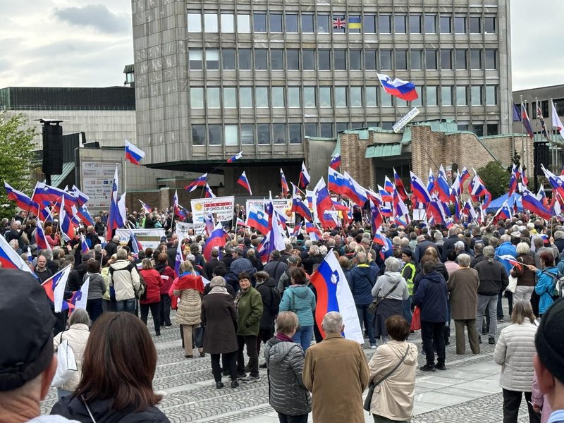 Številni so s seboj prinesli slovenske zastave.