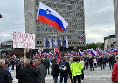 Upokojenci znova pred parlamentom: končno premik v pogajanjih z vlado?