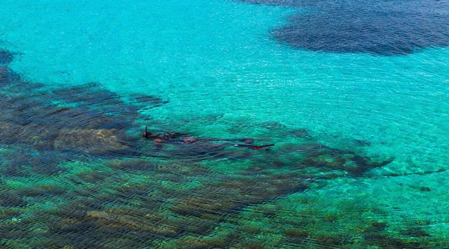 Med ribolovom hrvaški ribiči na Visu naleteli na prizor kot iz sanj (VIDEO) (foto: Profimedia)