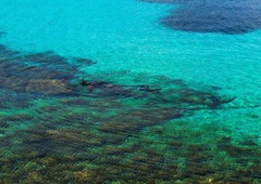 Med ribolovom hrvaški ribiči na Visu naleteli na prizor kot iz sanj (VIDEO)